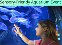 Sensory Friendly Aquarium Event in Mystic Connecticut