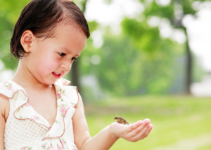 Nature Kids Sensory Nature Outdoor Program for special needs children in Massachusetts