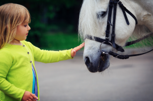 Equine Therapy Horse Therapy in Massachusetts (2)