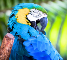 Inclusive Zoo Event: Stoneham