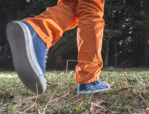 Special Olympics Walking Club in Topsfield